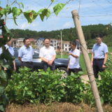 湖南航空技师学院院长陈大雄带队到秩堂镇东首村调研乡村振兴工作