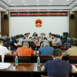 茶陵县召开中央专项彩票公益金支持欠发达革命老区乡村振兴示范区建设项目推进会
