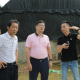 杨红兵到枣市镇调研工作