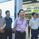 市调研组来茶陵调研乡村振兴工作