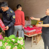 虎踞镇开展烟花爆竹“打非治违”专项整治行动