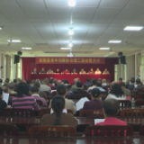茶陵县老年书画协会召开第二届会员大会