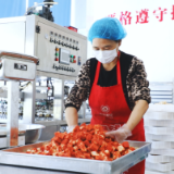 茶陵：“小腐乳”做成“大产业”
