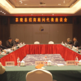 茶陵县政协招商顾问代表座谈会召开