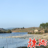 循环农业“链”出振兴路 ——“中彩项目”绘就多彩严塘系列报道②