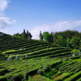 文化中国行·株洲风物丨茶陵 在炎帝的传说里