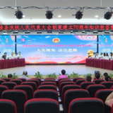 【人大70年】茶陵县庆祝人民代表大会制度建立70周年知识抢答赛预赛举行