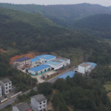 【画卷•乡村振兴】严塘镇玳溪村:产业兴村添动能 激发乡村振兴“一池春水”