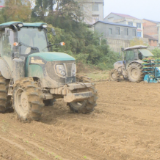 机械化移栽现场演示 油菜种植添“新”力