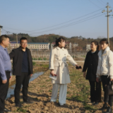 【委员风采】思聪街道委员工作室：参政议政赋能美好街道建设