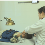 【健康与生活】儿童春季促生长 中医调护不可少