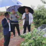 【安全守底行动】茶陵：“人防+技防”排查地质灾害隐患点 确保安全度汛