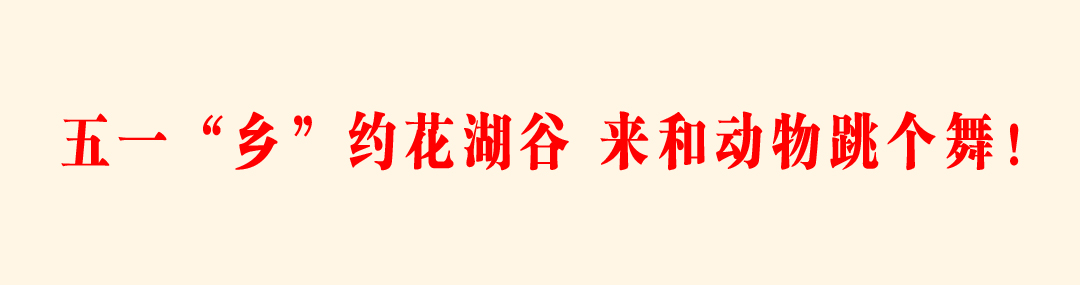 微信图片_20250427175908.jpg