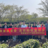 秩堂镇开展采茶助农志愿活动