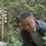 《劳动者的双手》