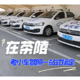 在茶陵，考小车驾照一站式搞定，还可以模拟训练哦~