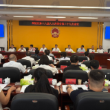 茶陵县第十八届人大常委会第二十九次会议召开