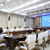 老领导齐聚献策 共绘茶陵“十五五”发展新篇