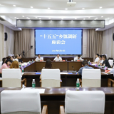 茶陵县召开“十五五”乡镇调研座谈会