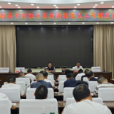 茶陵县乡村振兴有效衔接重点工作调度会召开