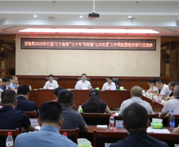 茶陵县2025年打造“三个高地”“三个年”和实施“七大攻坚”工作调度暨经济运行监测会召开
