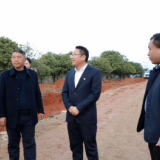 朱毅强调研亚热带水果特色产业园工作