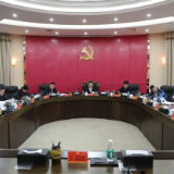 杨红兵主持召开中共茶陵县委常委会2026年第1次会议