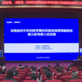 茶陵县开展初中学校教学整校诊断及指导策略项目第三轮专家入校诊断