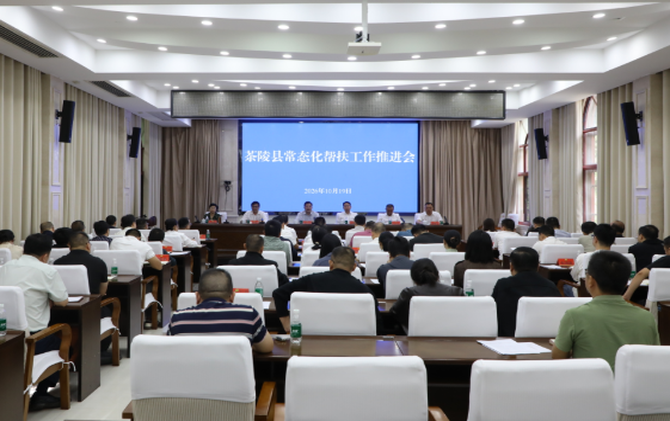 茶陵县常态化帮扶工作推进会召开