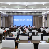 茶陵县常态化帮扶工作推进会召开