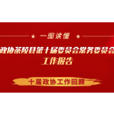 一图速览！政协茶陵县第十届委员会常务委员会工作报告