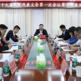 茶陵县第十九届人民代表大会第一次会议:各代表团进行分团讨论 杨红兵、马文平、何文龙等领导参加