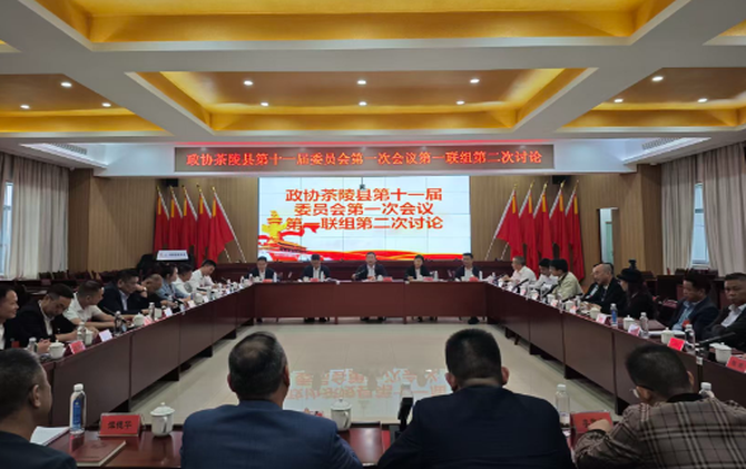 政协茶陵县第十一届委员会第一次会议：开展分联组第二次讨论 杨红兵、李甜甜、刘晓伟等领导参加