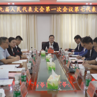 茶陵县第十九届人民代表大会第一次会议：各代表团继续开展分团讨论 杨红兵、朱毅强、王玉军、马文平、何文龙、李甜甜等领导参加