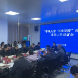 茶陵县部署“春暖万家 年味茶陵”迎新春宣传工作 全方位营造祥和节日氛围