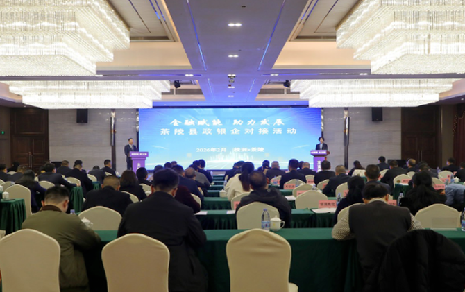 金融赋能助力发展——茶陵县政银企对接活动会议召开