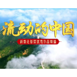  视频｜【新春走基层 云南江城 】虫情监测 展播作品