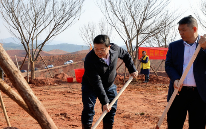 茶陵开展义务植树活动：添绿2.2万株 共筑生态家园