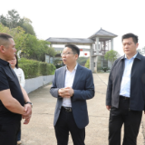 朱毅强到舲舫乡调研产业发展、防汛备汛、春耕生产等工作