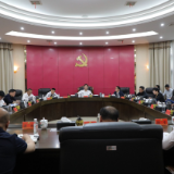 杨红兵主持召开中共茶陵县委常委会2026年第9次会议