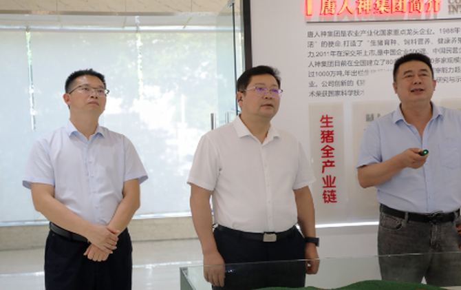 杨红兵走访调研重点企业