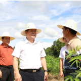 杨红兵到马江镇调研时强调:要做强特色产业 守牢安全底线