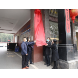 正式更名！茶陵县商务局举行揭牌仪式