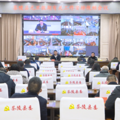 茶陵县安排部署元旦假期有关工作