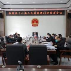 杨红兵主持召开茶陵县十八届人民政府第22次常务会议