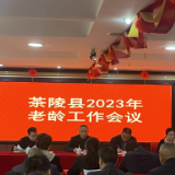 茶陵县2023年老龄工作会议召开