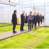 茶陵县政府组织开展粮食生产和春耕备耕工作调研