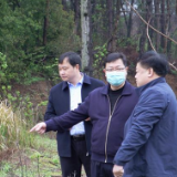 杨红兵“四不两直”暗访违法违规占用耕地问题整治与生态环保工作