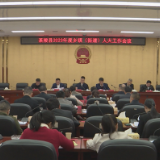 茶陵县2023年度乡镇(街道)人大工作会议召开