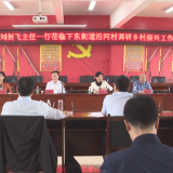 刘剑飞一行到下东街道沿河村调研乡村振兴工作